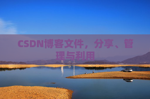 CSDN博客文件，分享、管理与利用